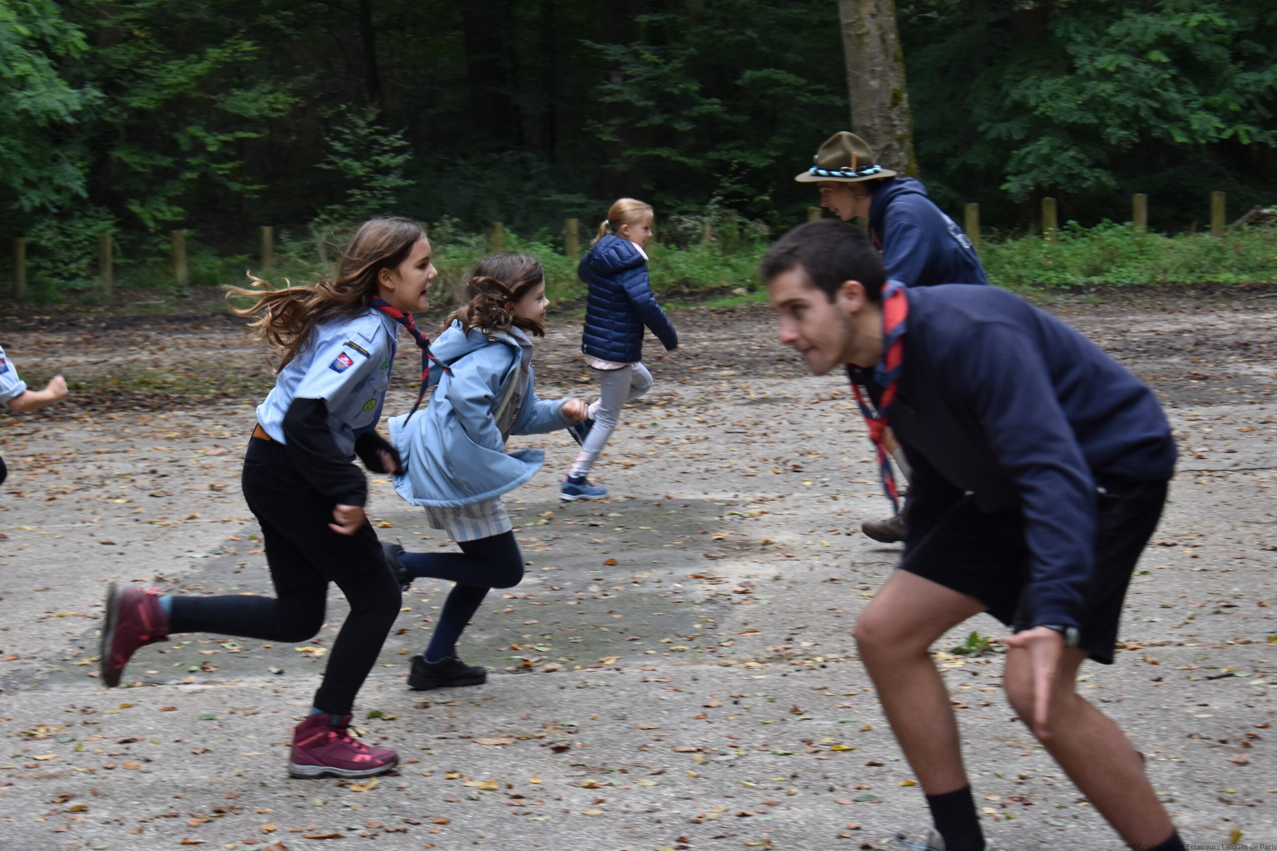 louvettes courant pendant un grand jeu en forêt